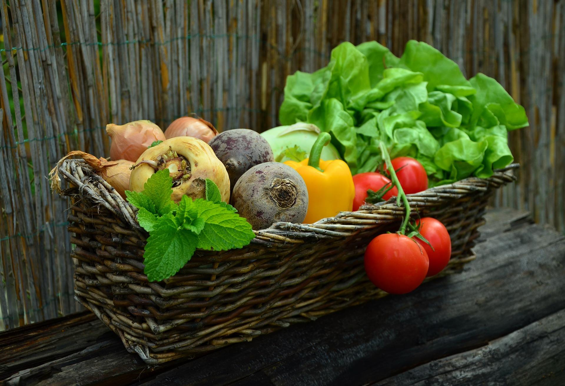 St. James Church Community Garden